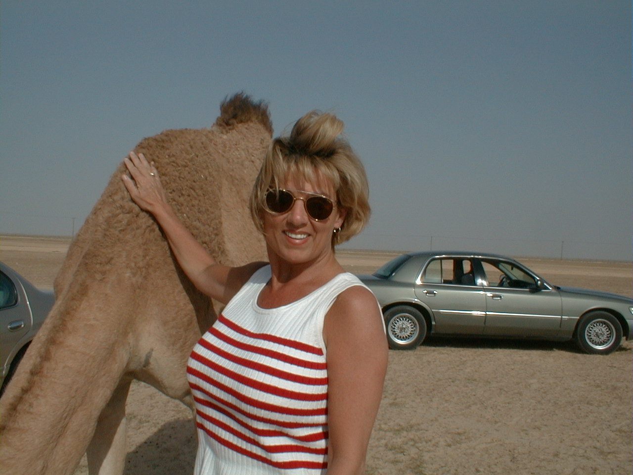 Making friends in the desert