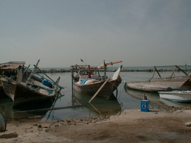 Dhows